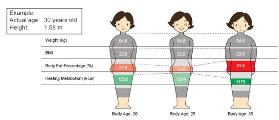 same weight different body composition pictures